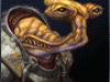 avatar-062